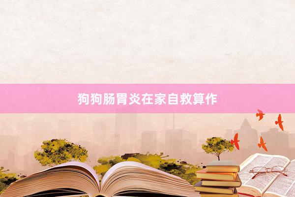 狗狗肠胃炎在家自救算作